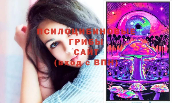 прущие крисы Богданович